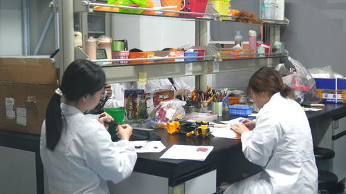 小玩具玩轉(zhuǎn)大市場(chǎng) 玩具禮品之都活力無(wú)限，技術(shù)服務(wù)賦能產(chǎn)業(yè)升級(jí)